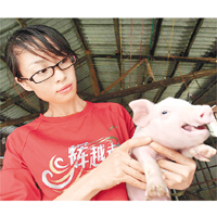 近年有大學生在畢業後投身養豬業。	資料圖片
