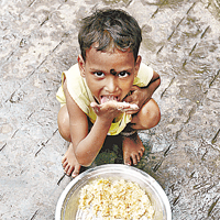 科學家期望改良稻米可減輕印度糧食問題。	資料圖片