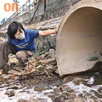 綠色和平派人到番禺南沙一處工業區抽取水質樣本。