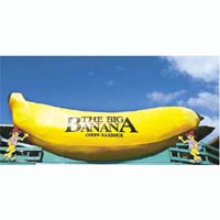 香蕉地點：新南威爾士省科夫斯港<br>簡介：是澳洲首個巨型雕像，成旅遊熱點。