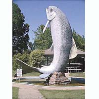 鱒魚地點：新南威爾士省阿達米納比<br>簡介：巨像高10米，當地是釣鱒魚熱點。