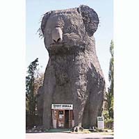 樹熊地點：維多利亞省達茲韋爾橋<br>簡介：高14米、重12噸，由青銅所做。