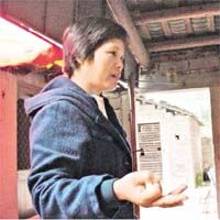 豬農李女士稱，八年心血毀於一旦，面對數萬元債務曾想過自殺。
