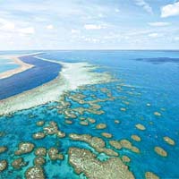 除漏油問題外，大堡礁亦面臨全球暖化和有毒農藥的威脅。	資料圖片