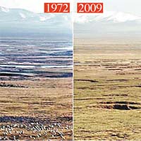 黃河源頭星宿海　1972年與2009年對比