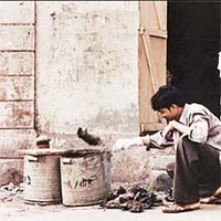 打鼠絕技<br>點算戰果