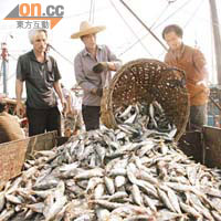 漁民指釣魚島海域為主要漁場，揚言誓不退縮。