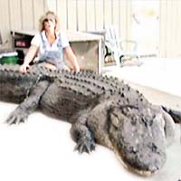 瑪拉—克里斯琴與巨鱷體形相差很大。	
