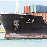 香港註冊貨輪大平號，早前與日本漁船相撞後被扣。	資料圖片	