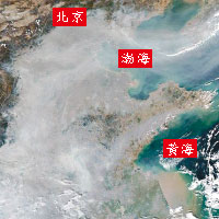 PM2.5為禍京滬爆呼吸病