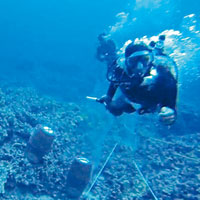 神秘人突扯氧氣罩 夏威夷女潛水員險喪命