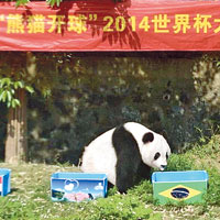 大熊貓估賽果項目取消