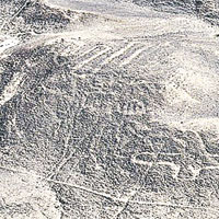 疑秘魯古祭禮繪製 沙漠再現神秘線條