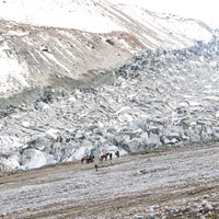 新疆冰川滑移毀草場