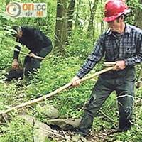 蜈蚣神捕日入500元