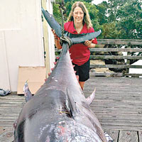 釣410kg藍鰭吞拿 紐婦破世界紀錄