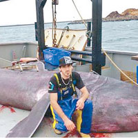 澳洲85年來首捕姥鯊