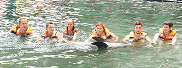 峇里海豚淪泳池玩物