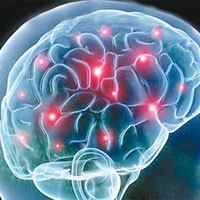 抑制B2M腦蛋白可阻喪失記憶