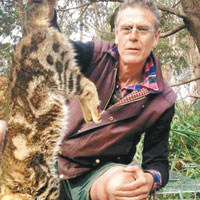 澳洲擬五年殺二百萬野貓 防獵食本土物種致滅絕