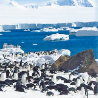 南極考察站筍工  年薪25萬聘伙頭