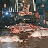 有毒病死豬肉  遍銷廣東