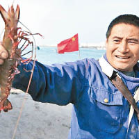 32厘米巨蝦青島捕獲
