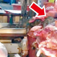 泰國：街市豬肉檔淪老鼠天堂