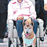 曾獲撰書讚揚  泰王愛犬病逝