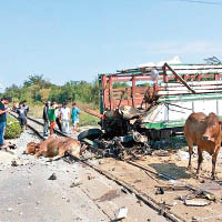 泰國：火車撼載牛車3死34傷