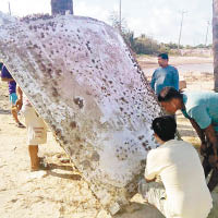 泰沙灘金屬物  疑飛機殘骸