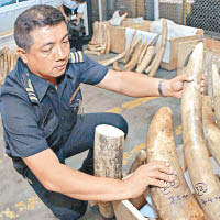 雅虎日本2年售出12噸象牙