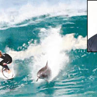 澳洲職業手衝浪巧遇海豚相伴