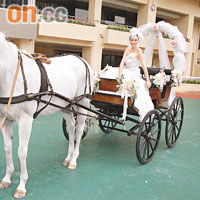  Ana R.披上婚紗，坐馬車「出嫁」。