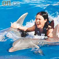 Grace終於達成心願與海豚暢泳。