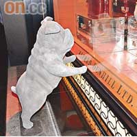 品牌於中環新店開幕，當然少不了「主角」之一的老虎狗。