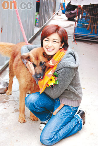 唐寧呼籲大眾捐輸，為流浪犬建安樂窩。