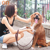 樂壇新人Jinny視愛犬Honey如女兒，疼錫有加。
