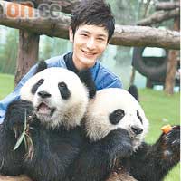 黃曉明到上海探望熊貓「子女」，更親自餵牠們食蛋糕。