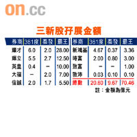 三新股孖展金額