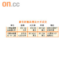 豪宅新盤高價及大手成交