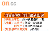 何文田富甲半山最新部署