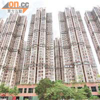 賣地前粉嶺花都廣場錄投資者偷步入市個案。