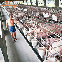 投資綺理：中國戰略性買豬肉