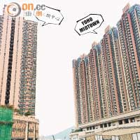 CASA：元朗新舊盤鬥人氣