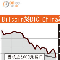 Bitcoin苦主追數變人球