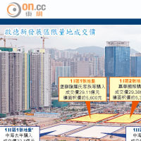 中資癲價搶貴啟德地