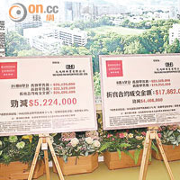 加多利峯10伙減價促銷