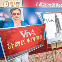 長實VIVA本月分批出擊