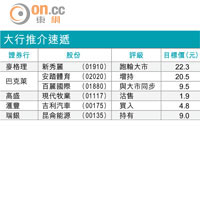 大行報告：比亞迪銷售表現佳